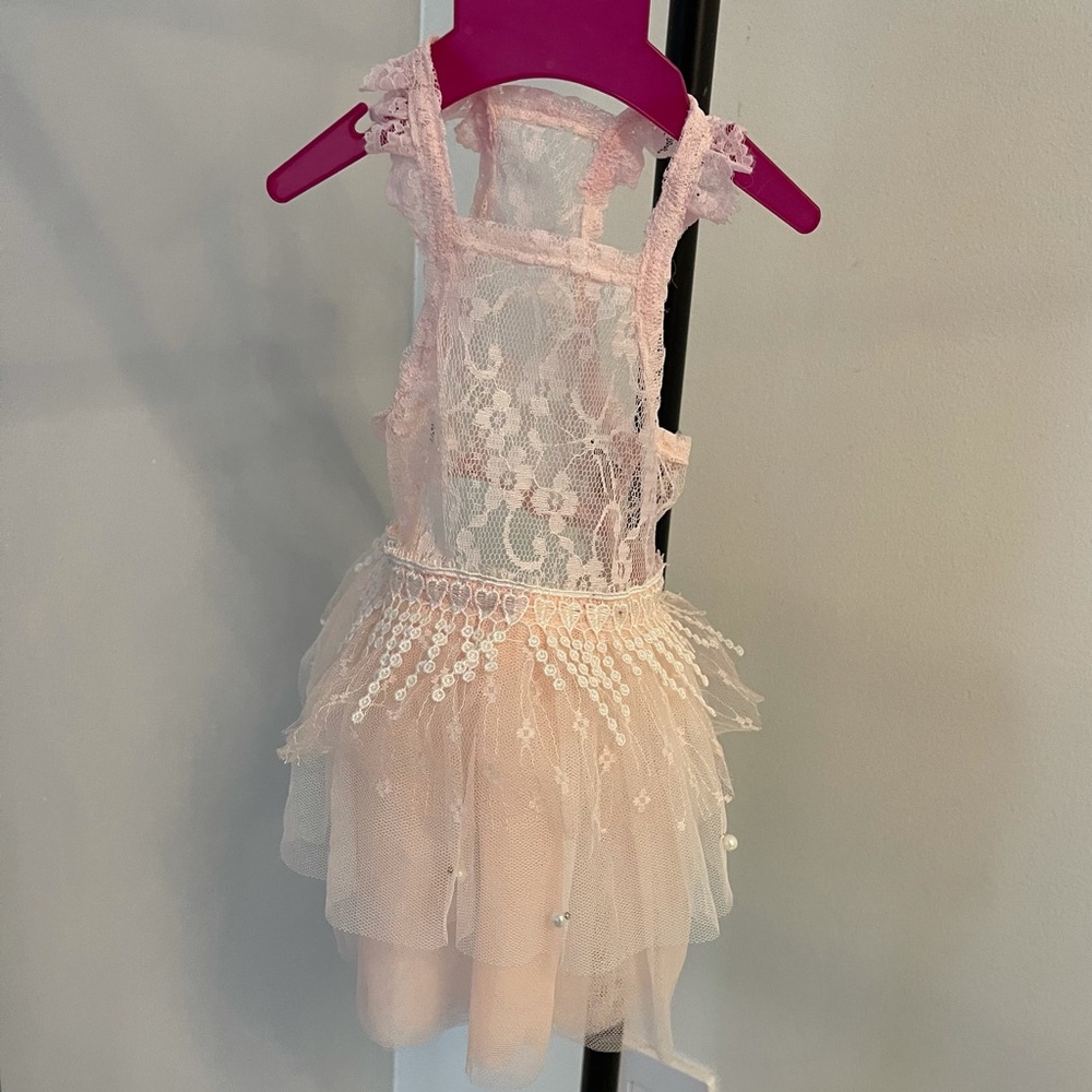 Pink lace female doggie dress with pearls - Picture 2 of 6